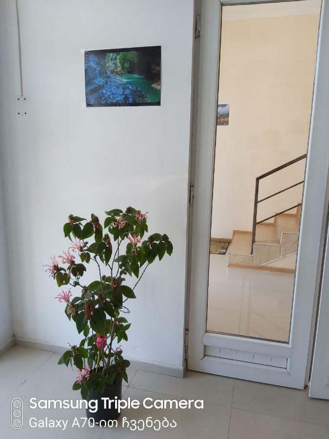 Martvili Newhotel Ngoại thất bức ảnh